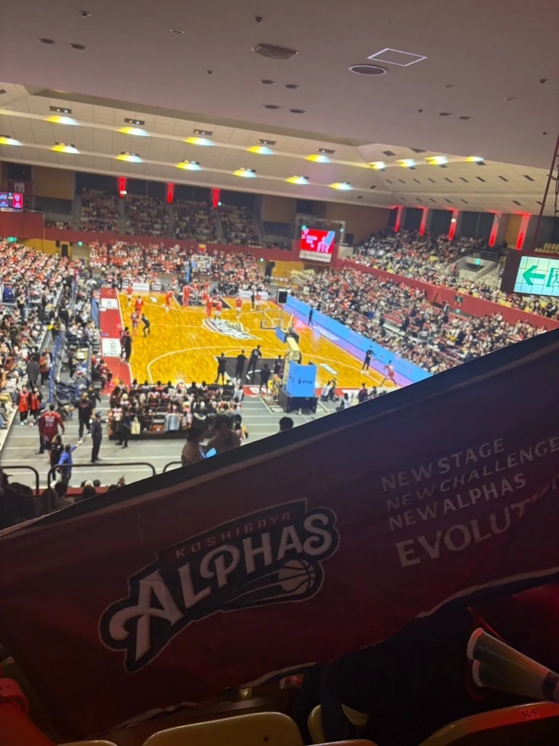 越谷アルファーズ🏀試合観戦